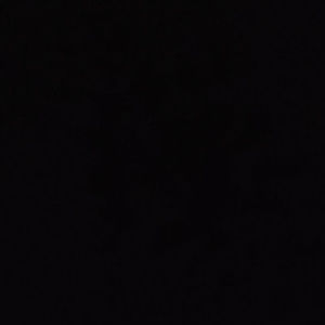 Meet your Posher, Vincent